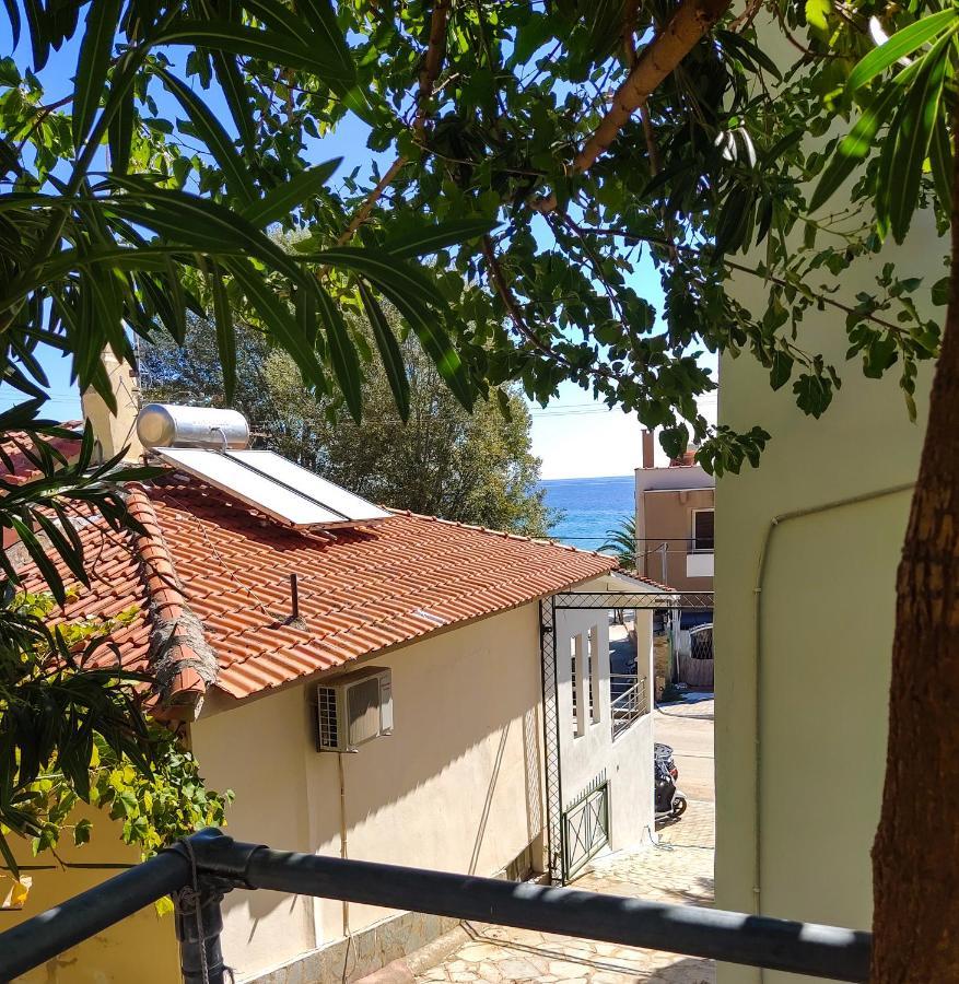 Ellinas Hotel Chrisi Ammoudia Exteriör bild